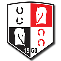 logo tjk